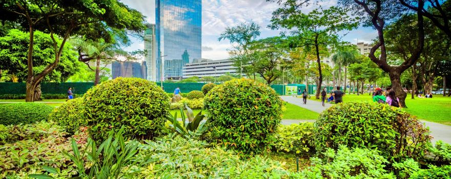 Ayala Triangle Gardens