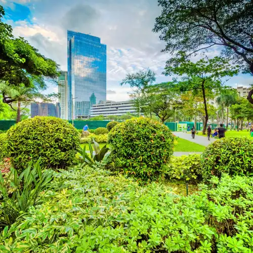 Ayala Triangle Gardens