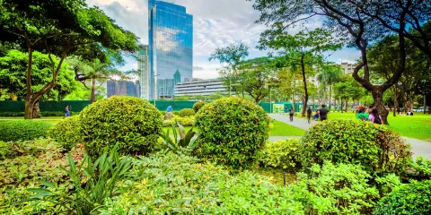 亞耶拉三角公園