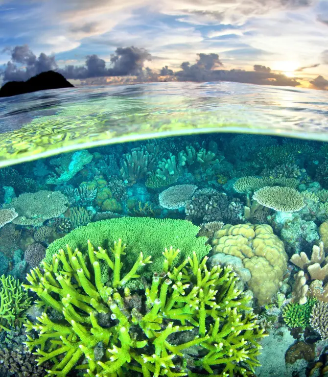 Raja Ampat