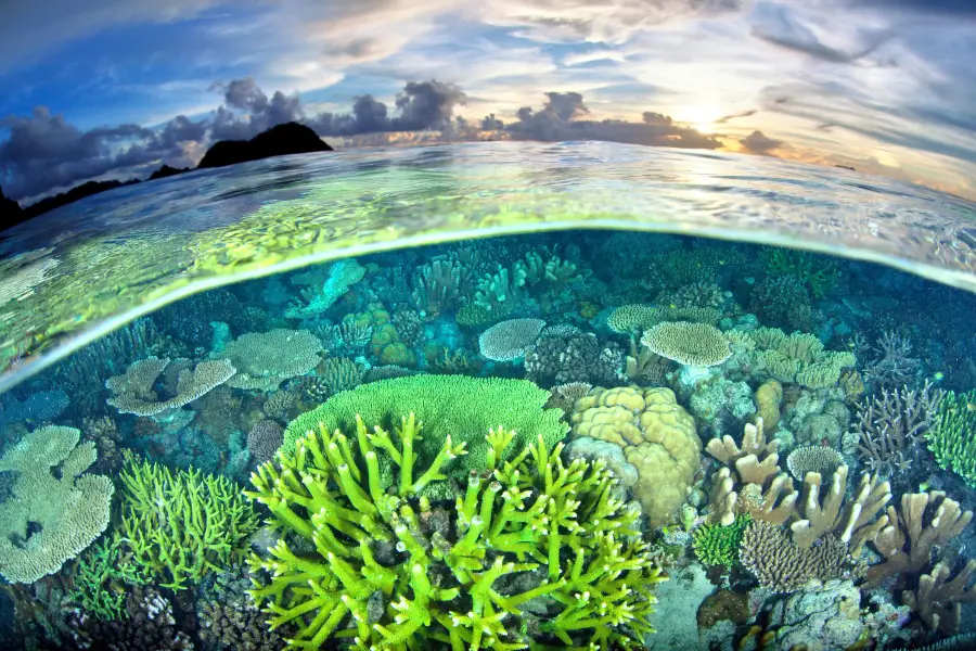 Quần đảo Raja Ampat