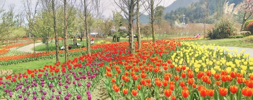 Otter flower Valley