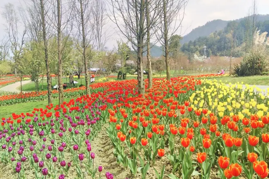 Otter flower Valley