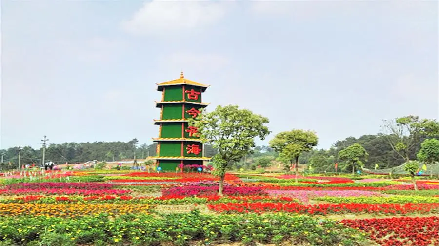 Gujin Flower Sea