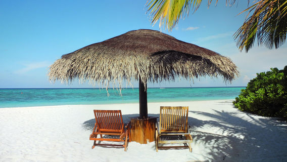 Maldive