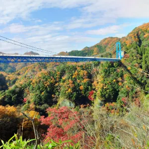 竜神大吊橋