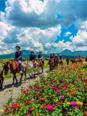 Lashihai Ancient Tea-Horse Route