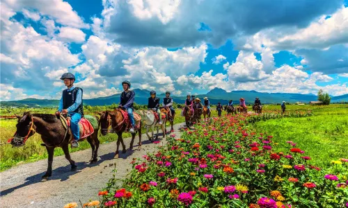 Lashihai Ancient Tea-Horse Route