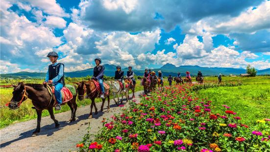 拉市海茶馬古道