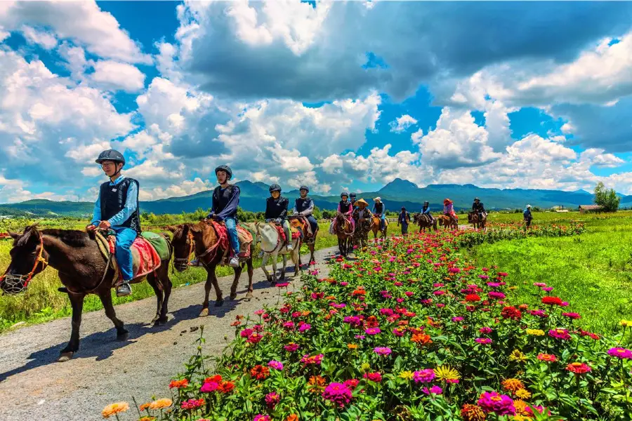 Lashihai Ancient Tea-Horse Route