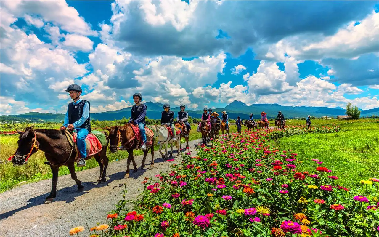 Hotels near Lashihai Ancient Tea-Horse Route