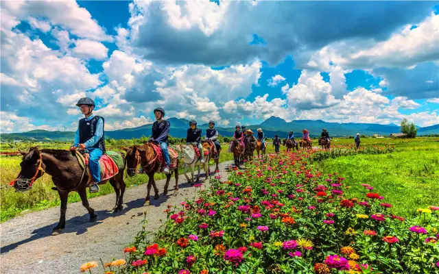 Lijiang Horse Riding