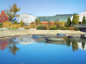 Garfield Park Conservatory