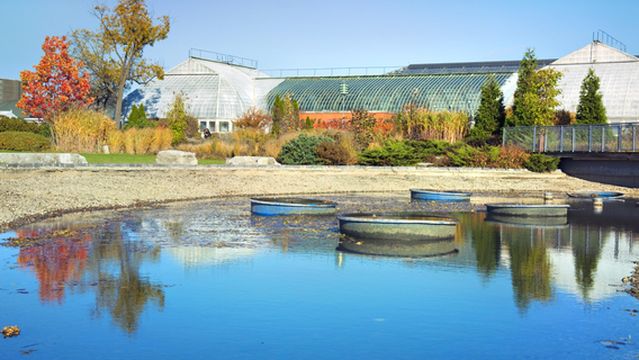 Garfield Park Conservatory