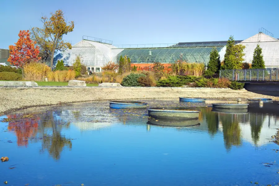 Garfield Park Conservatory - Reservations Required