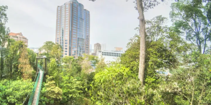 咖啡山森林保護公園