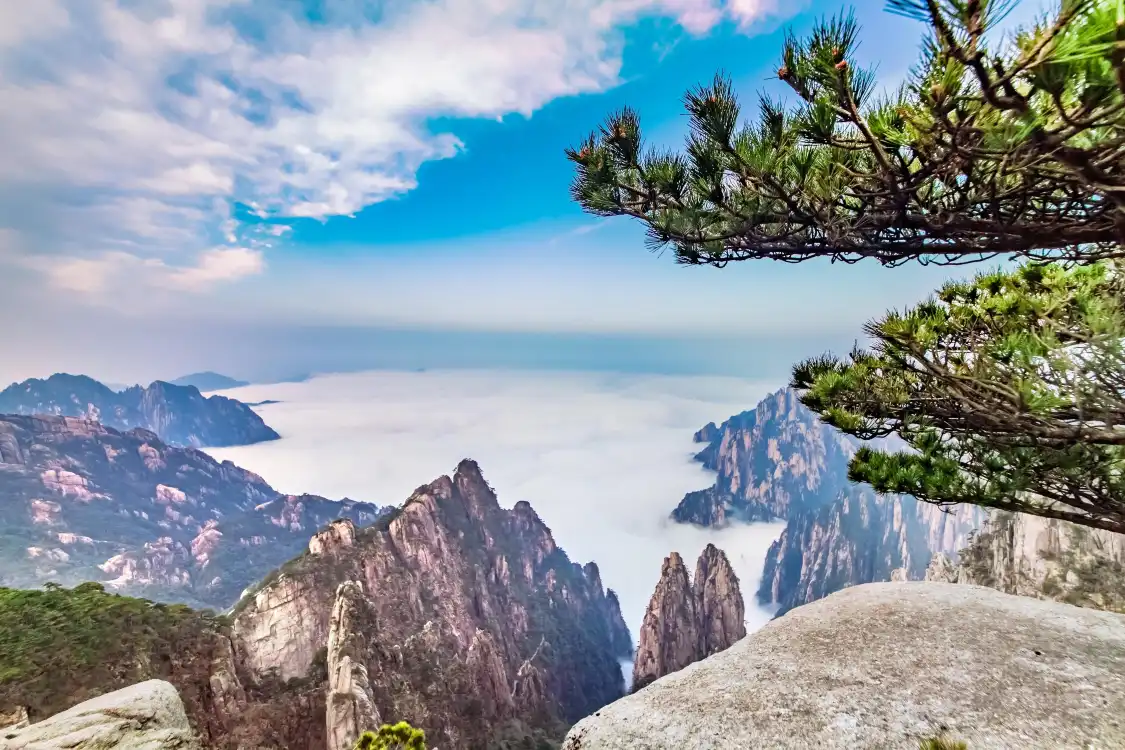 천해 주변 호텔