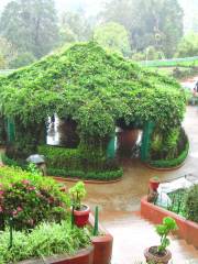 Jardín Botánico de Sheffield