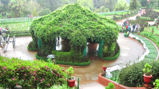 Jardín Botánico de Sheffield