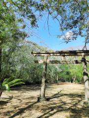 Mt Lasso Shinto Shrine