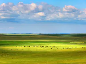 Ujimqin Grassland