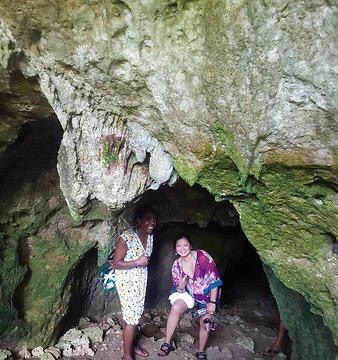 Bat Caves