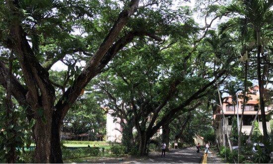 Silliman University Anthropology Museum