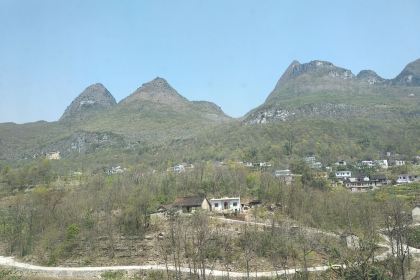 傅正刚糯米饭(金都花园店)