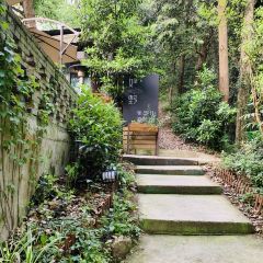 杭州如野民宿(西湖风景区太子湾公园店)·如野·玻璃房子·山野食记(西湖龙井虎跑店) User Photo