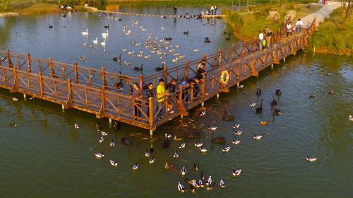 Shuanglong Lake Bird Viewing Garden