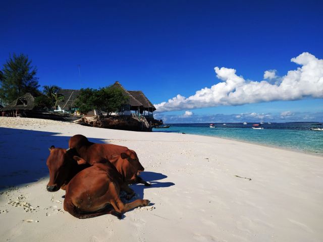 Nungwi Beach