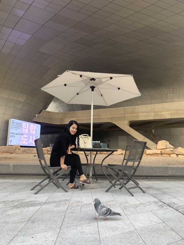동대문디자인플라자