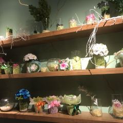 Gelato Secrets User Photo