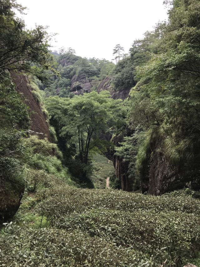 우이산