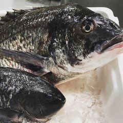 Sushi Meijin Bepputsurumi User Photo