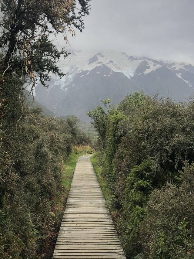 Kea Point Attractions Mackenzie District Travel Review Travel Guide Trip Com