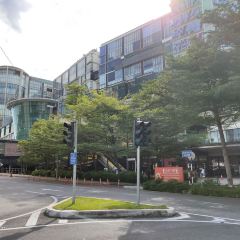 The Coffee Bean & Tea Leaf 여행 사진