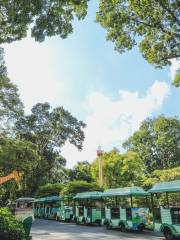 Jardin botanique et zoologique de Saigon