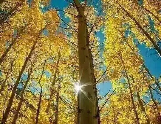 Attrazioni per la visione autunnale
