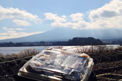 Kawaguchiko Shizen Seikatsukan