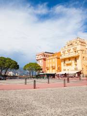 Le Palais Princier de Monaco