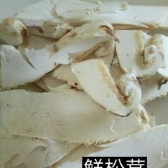 Snow mountain clouds wild mushrooms 여행 사진