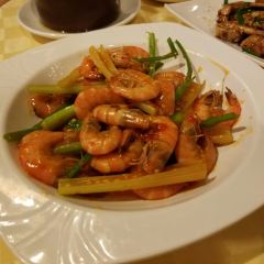 Shi Qi Lao(Zhang Xi) User Photo