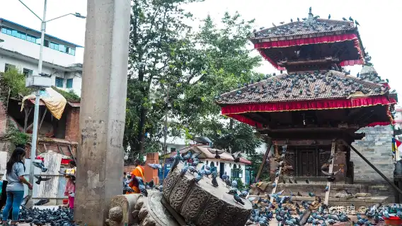 尼泊爾全境各類翻譯地陪導遊包車接送/攝影師跟拍/商務陪同/陪診/旅遊攻略/定制