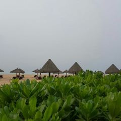 海南清水湾莱佛士酒店 · 意大利餐厅 User Photo