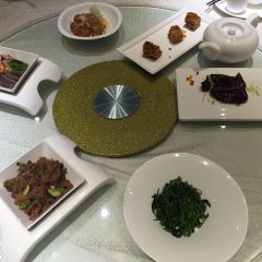 Song helou User Photo