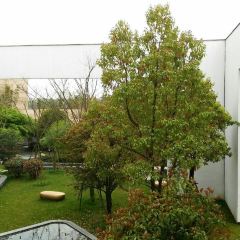Zhongxintaifuzhujiajiaojinjiangjiudian·pinmingge User Photo