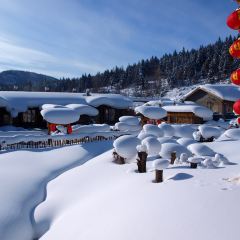 YA BU LI XUE SHAN JU NONG GU YUAN XUE SHAN JU NONG GU CAI User Photo