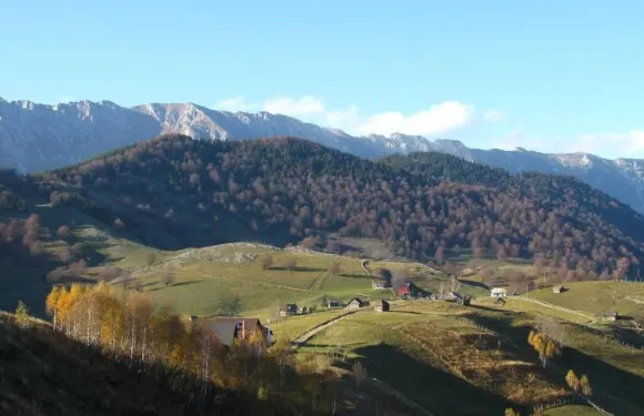 盆蘇尼索萊旅館