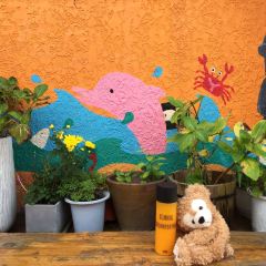 BOMNAL CAFE User Photo